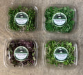 4-Container Variety Pack Subscription